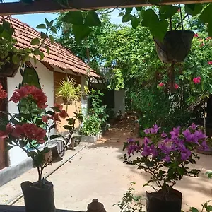 Mamisa Cafe, Habarana